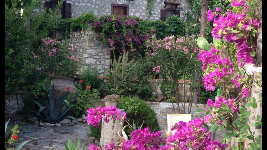 Medusa House Butik Hotel Didim Eksteriør bilde