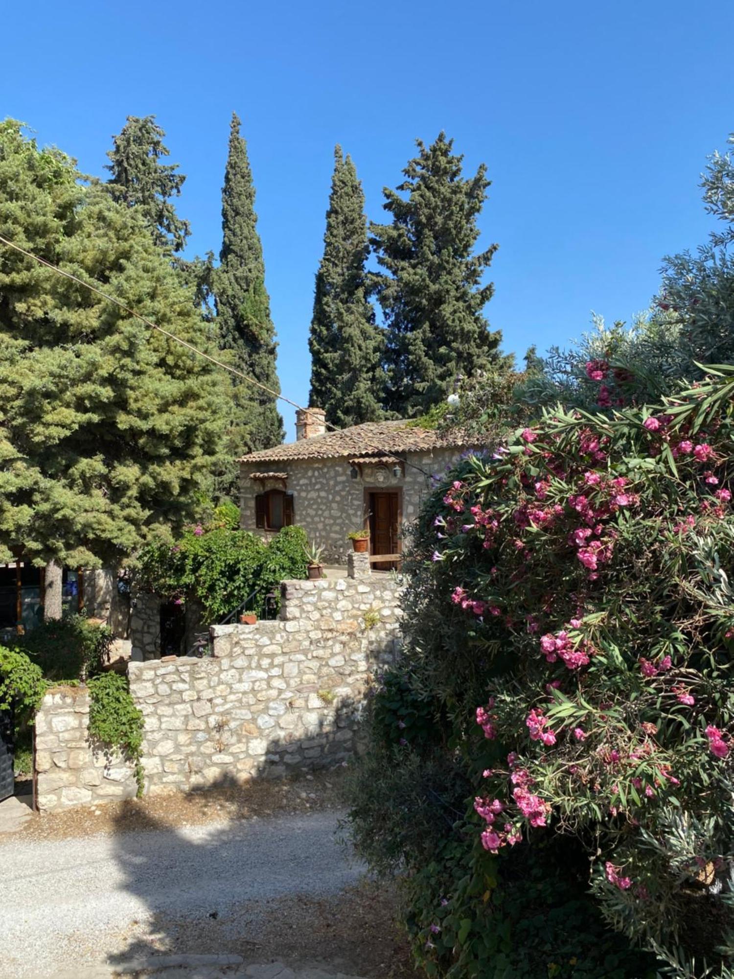 Medusa House Butik Hotel Didim Eksteriør bilde