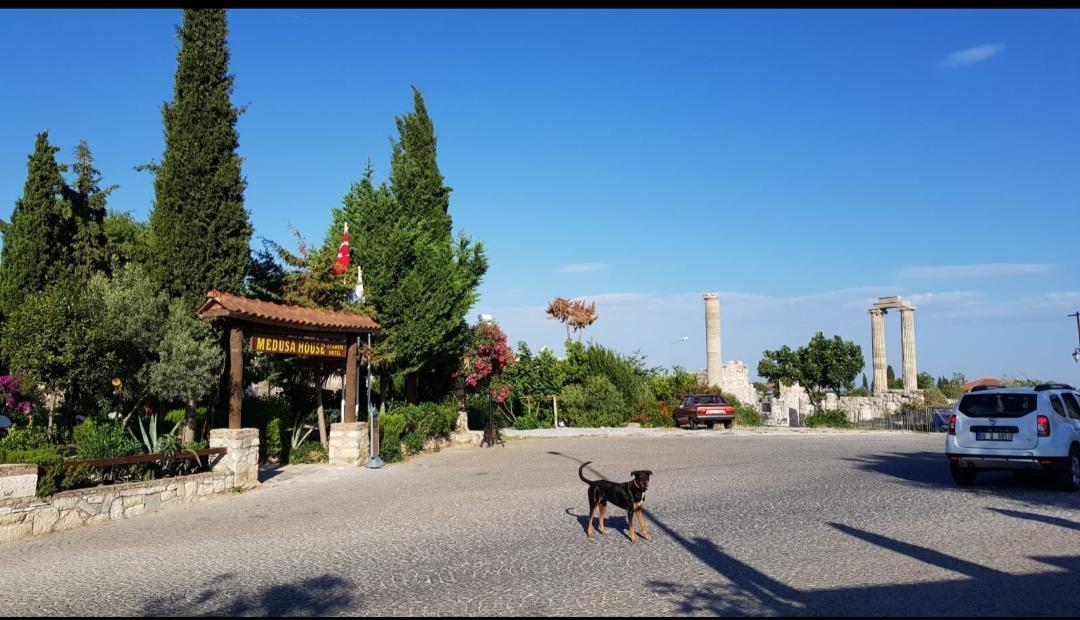 Medusa House Butik Hotel Didim Eksteriør bilde